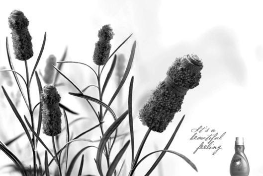 Иллюстрация к книге — Зависть и другие вечные двигатели рекламы [_054.jpg]