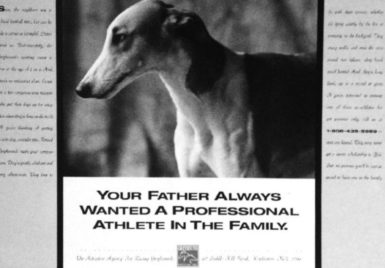 Иллюстрация к книге — Зависть и другие вечные двигатели рекламы [_149.jpg]