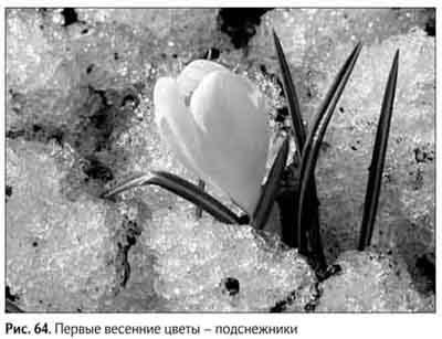 Иллюстрация к книге — Не может быть. Парадоксы в рекламе, бизнесе и жизни [i_075.jpg]