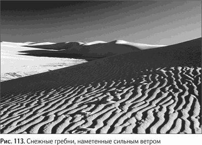 Иллюстрация к книге — Не может быть. Парадоксы в рекламе, бизнесе и жизни [i_128.jpg]