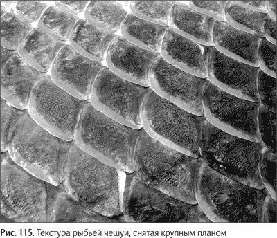 Иллюстрация к книге — Не может быть. Парадоксы в рекламе, бизнесе и жизни [i_130.jpg]