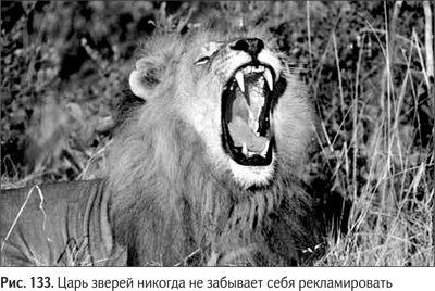 Иллюстрация к книге — Не может быть. Парадоксы в рекламе, бизнесе и жизни [i_154.jpg]