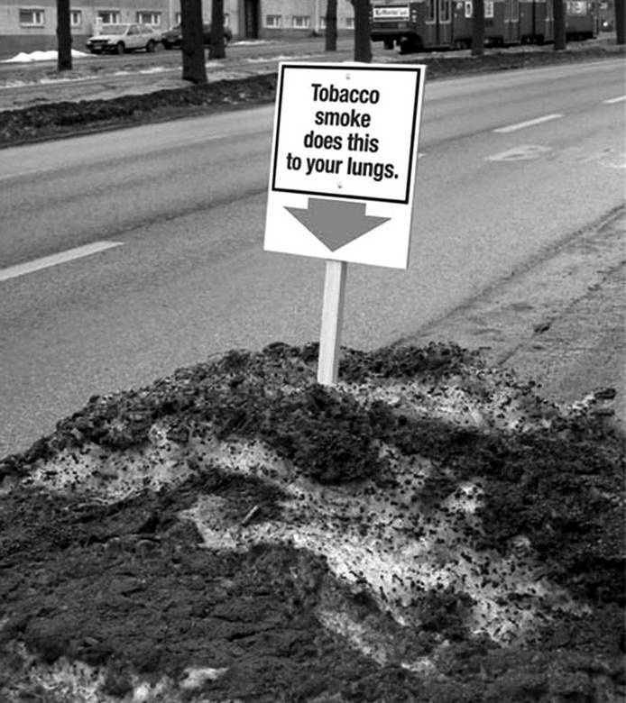 Иллюстрация к книге — Страх в рекламе. Как побудить клиентов к покупке [i_006.jpg]