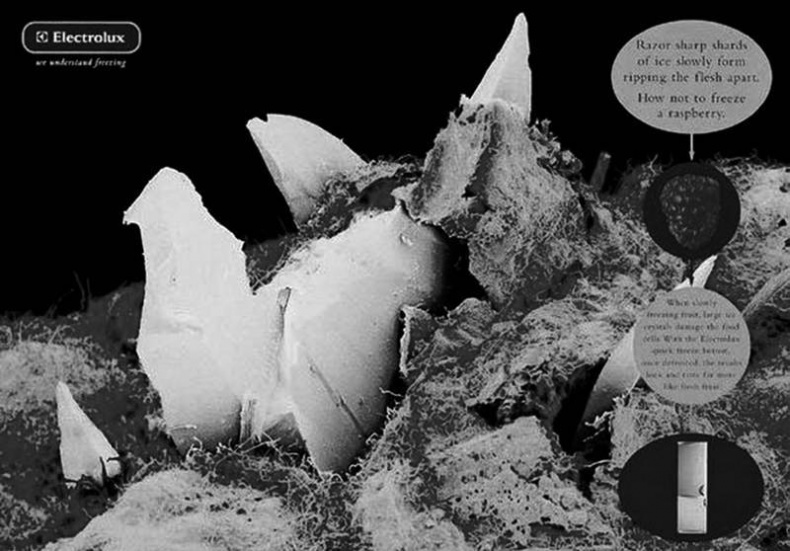 Иллюстрация к книге — Страх в рекламе. Как побудить клиентов к покупке [i_028.jpg]