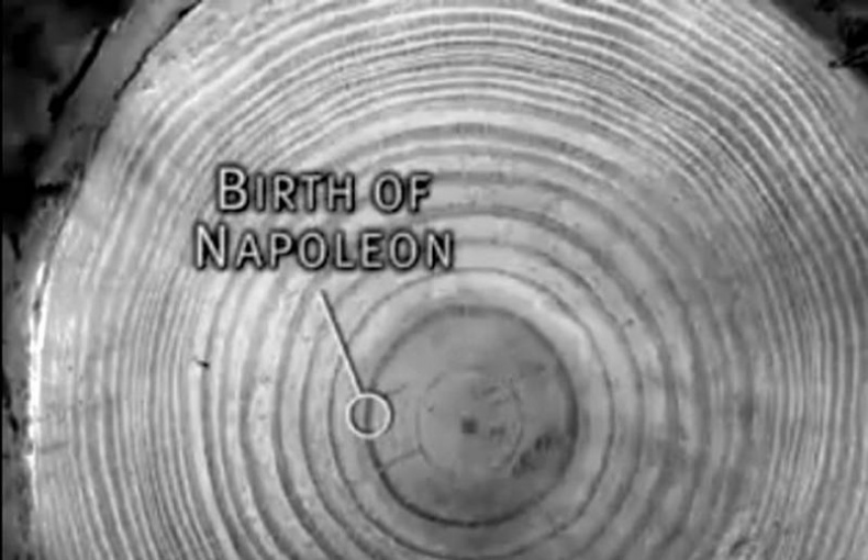 Иллюстрация к книге — Чувство вины в рекламе. Как побудить клиентов к покупке [i_004.jpg]