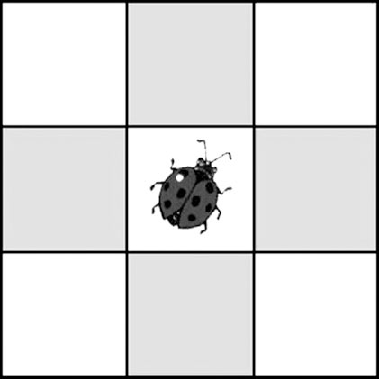 Иллюстрация к книге — Психологос. Энциклопедия практической психологии [i_006.jpg]