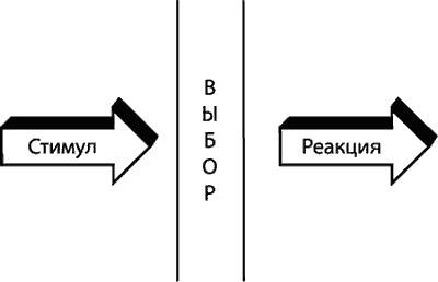 Иллюстрация к книге — Настоящих буйных мало... Технология прорыва в бизнесе и жизни [i_019.jpg]