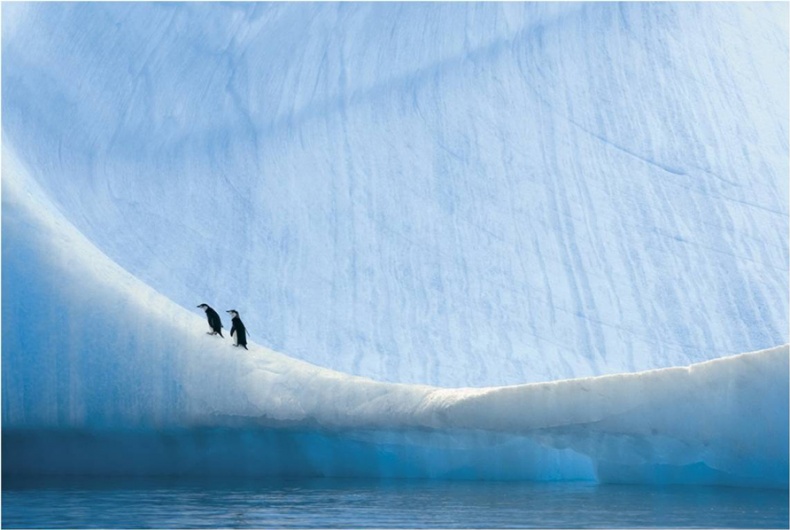 Иллюстрация к книге — От идеи до прибыли. Система продаж через интернет [file_29.jpg]