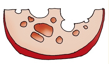 Иллюстрация к книге — Тайм-менеджмент для детей. Книга продвинутых родителей [chapter084_fmt.jpg]