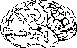 Иллюстрация к книге — Искусство системного мышления. Необходимые знания о системах и творческом подходе к решению проблем [i_001.jpg]