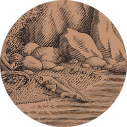 Иллюстрация к книге — Счастливый клевер человечества. Всеобщая история открытий, технологий, конкуренции и богатства [i_008.jpg]