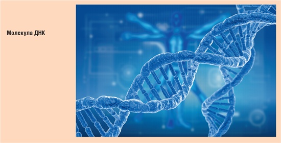 Иллюстрация к книге — Счастливый клевер человечества. Всеобщая история открытий, технологий, конкуренции и богатства [i_009.jpg]