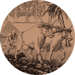 Иллюстрация к книге — Счастливый клевер человечества. Всеобщая история открытий, технологий, конкуренции и богатства [i_014.jpg]