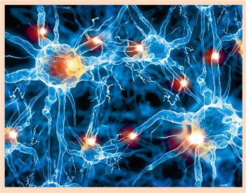 Иллюстрация к книге — Счастливый клевер человечества. Всеобщая история открытий, технологий, конкуренции и богатства [i_147.jpg]