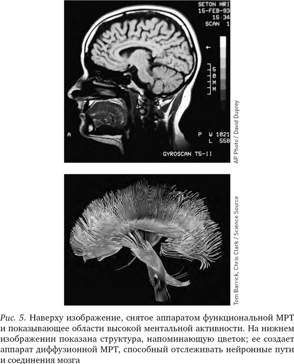 Иллюстрация к книге — Будущее разума [i_005.jpg]