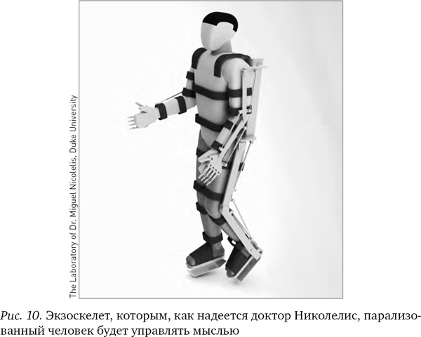 Иллюстрация к книге — Будущее разума [i_011.jpg]