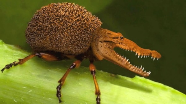 Иллюстрация к книге — 99 законов взрывного пиара. Книга-практикум [i_029.jpg]