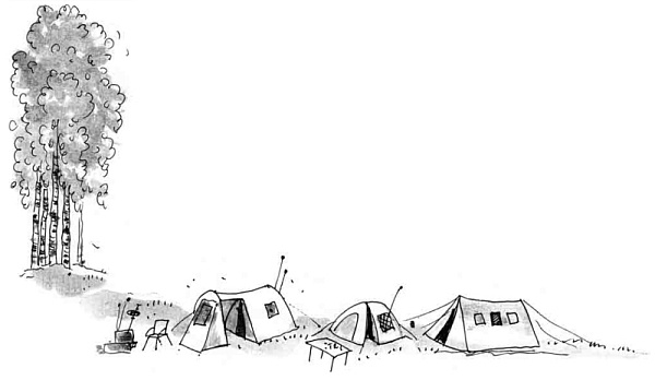 Иллюстрация к книге — Армас. Зона надежды [i_003.jpg]