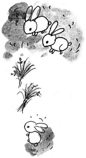 Иллюстрация к книге — Армас. Зона надежды [i_004.jpg]