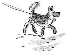 Иллюстрация к книге — Армас. Зона надежды [i_006.jpg]