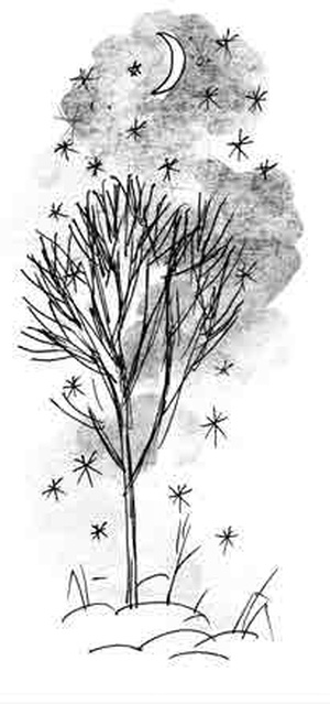 Иллюстрация к книге — Армас. Зона надежды [i_016.jpg]