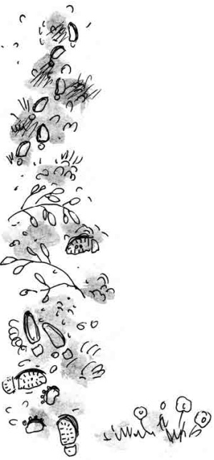 Иллюстрация к книге — Армас. Зона надежды [i_026.jpg]