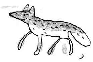 Иллюстрация к книге — Армас. Зона надежды [i_034.jpg]