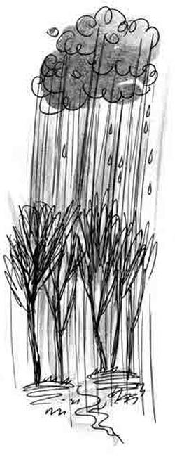 Иллюстрация к книге — Армас. Зона надежды [i_035.jpg]