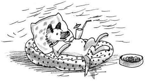 Иллюстрация к книге — Армас. Зона надежды [i_036.jpg]