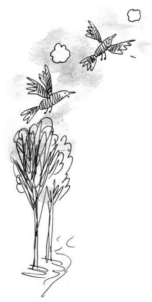 Иллюстрация к книге — Армас. Зона надежды [i_048.jpg]