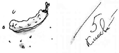 Иллюстрация к книге — Армас. Зона надежды [i_064.jpg]