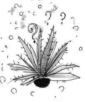 Иллюстрация к книге — Армас. Зона надежды [i_071.jpg]