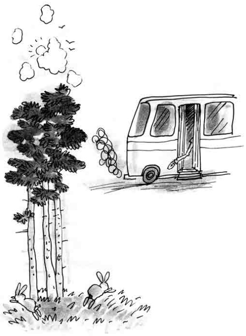 Иллюстрация к книге — Армас. Зона надежды [i_089.jpg]