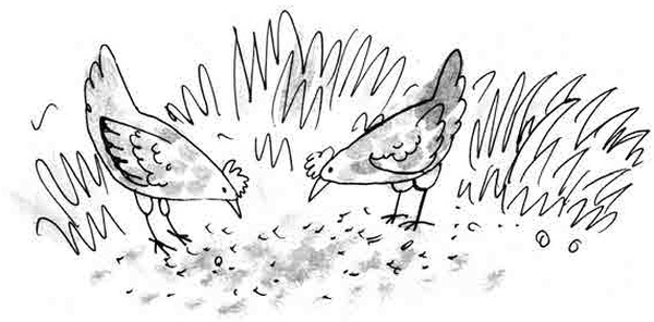 Иллюстрация к книге — Армас. Зона надежды [i_096.jpg]