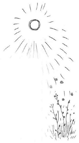 Иллюстрация к книге — Армас. Зона надежды [i_099.jpg]