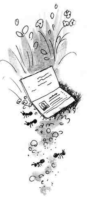 Иллюстрация к книге — Армас. Зона надежды [i_100.jpg]