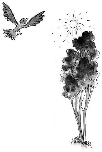 Иллюстрация к книге — Армас. Зона надежды [i_101.jpg]