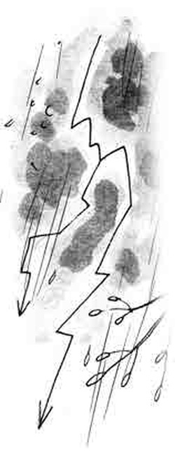 Иллюстрация к книге — Армас. Зона надежды [i_108.jpg]