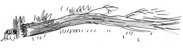 Иллюстрация к книге — Армас. Зона надежды [i_115.jpg]