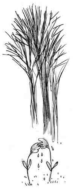 Иллюстрация к книге — Армас. Зона надежды [i_123.jpg]