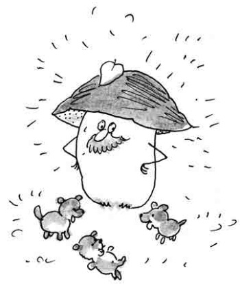 Иллюстрация к книге — Армас. Зона надежды [i_126.jpg]