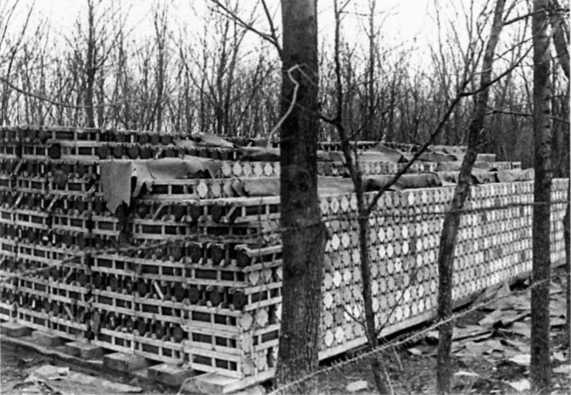 Иллюстрация к книге — Забытое сражение Огненной Дуги [i_007.jpg]