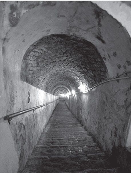 Иллюстрация к книге — Как деньги гуляли по миру. Итальянская история [i_017.jpg]