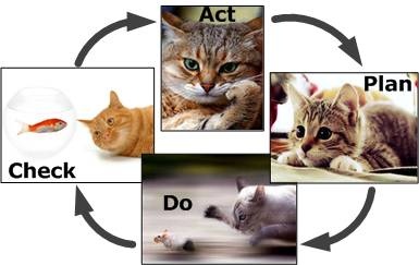 Иллюстрация к книге — Сервисный компас [_46.jpg]