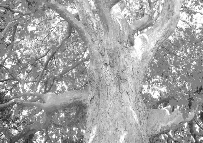 Иллюстрация к книге — Биржевая история [i_026.jpg]