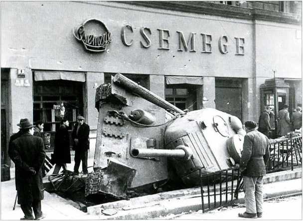 Иллюстрация к книге — 1956. Венгрия глазами очевидца [i_016.jpg]