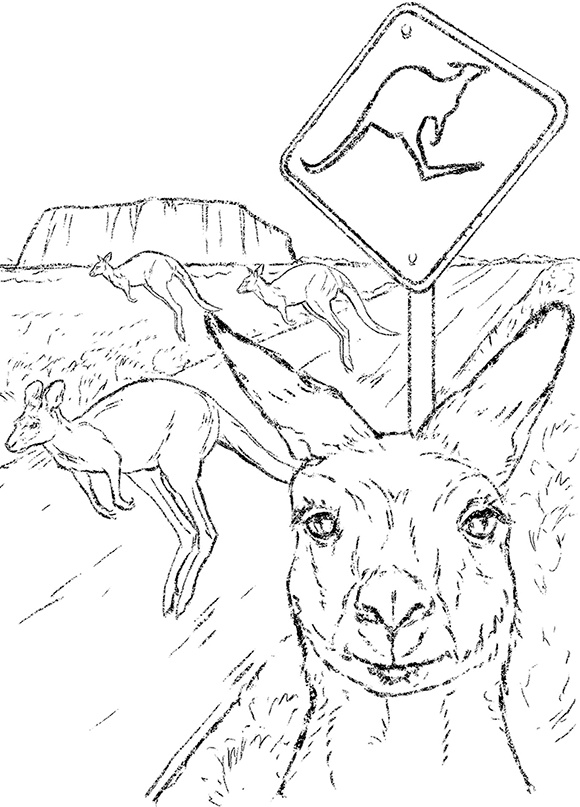 Иллюстрация к книге — Продавец перемен [i_015.jpg]