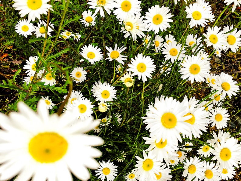 Иллюстрация к книге — Работа в процессе [i_042.jpg]