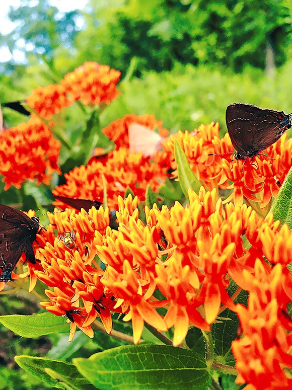 Иллюстрация к книге — Работа в процессе [i_051.jpg]