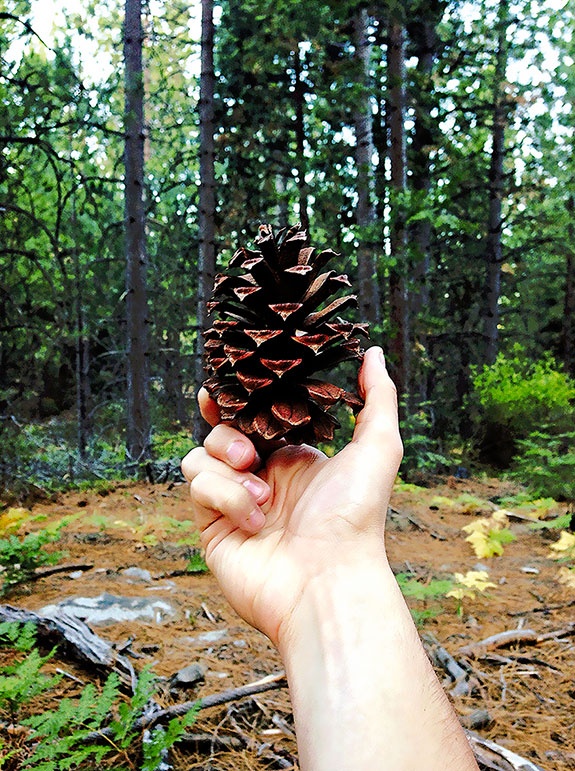 Иллюстрация к книге — Работа в процессе [i_052.jpg]